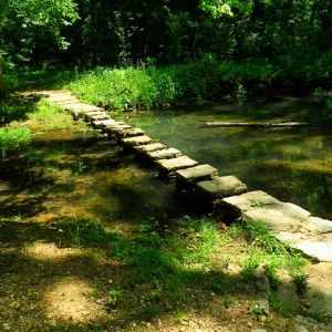 These stepping stones take you across Colbert Creek.