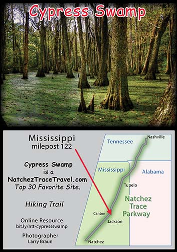 Cypress Swamp - Natchez Trace Park