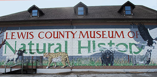 Lewis County Museum of Natural History - Hohenwald, Tennessee