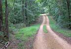 Old Trace Drive on the Natchez Trace Parkway