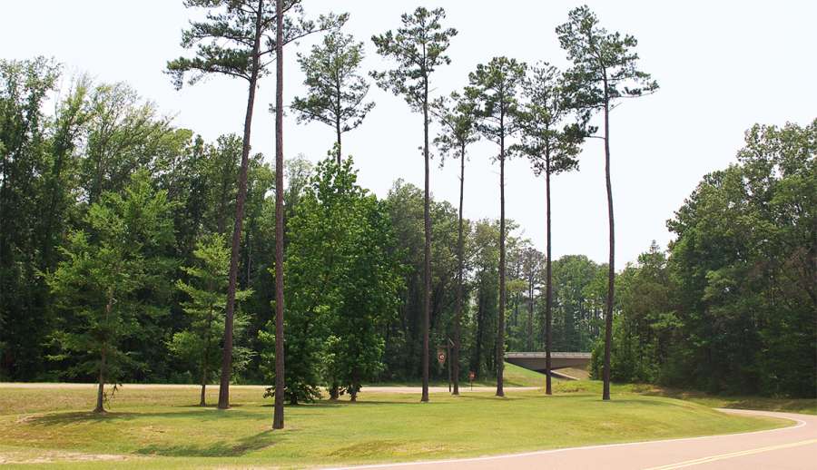 Choctaw Agency Natchez Trace