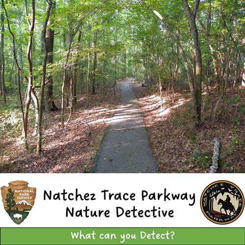 Nature Detective Scavenger Hunt - Junior Ranger Program - Tupelo, Mississippi
