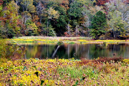 River Bend - Natchez Trace Fall Foliage
