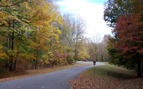 Rock Spring - Natchez Trace Fall Foliage