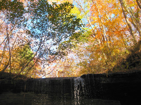 Fall Hollow Waterfall - Natchez Trace Fall Foliage