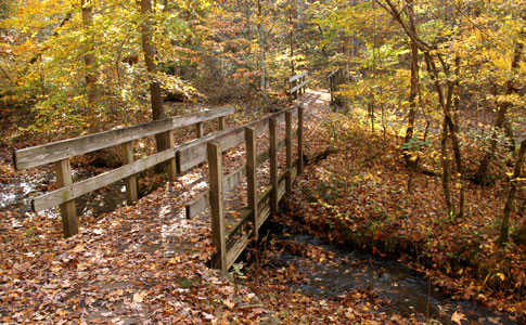Fall Hollow Bridge - 2013 Natchez Trace Fall Foliage