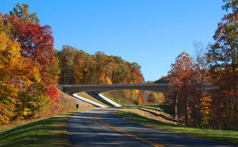 Highway 840 Overpass - Natchez Trace Fall Foliage