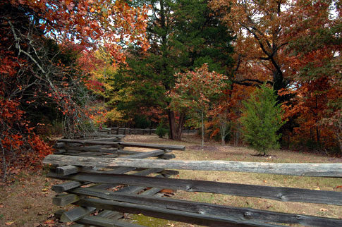 Meriwether Lewis / Old Trace - Natchez Trace Fall Foliage
