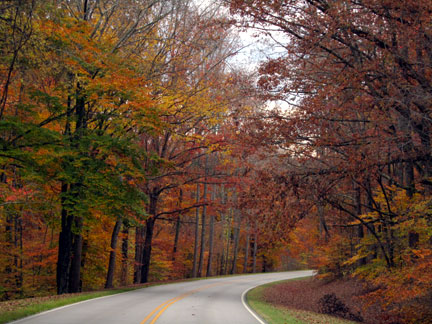 Milepost 371 - Natchez Trace Fall Foliage