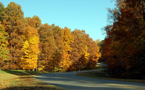 Mileposlt 418 - Natchez Trace Fall Foliage
