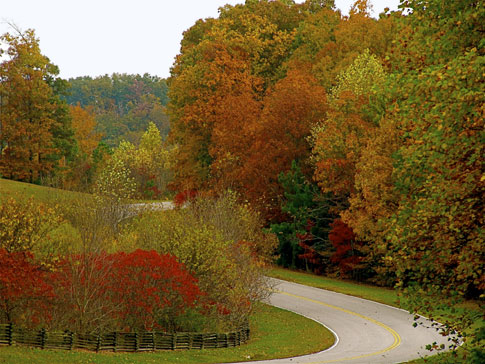 Milepost 423 - Natchez Trace Fall Foliage