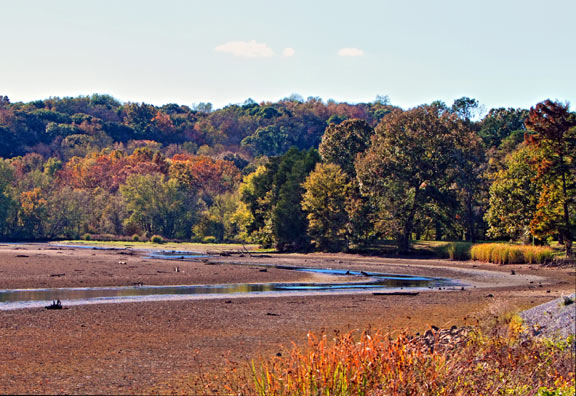 Colbert Ferry - Alabama Fall Foliage