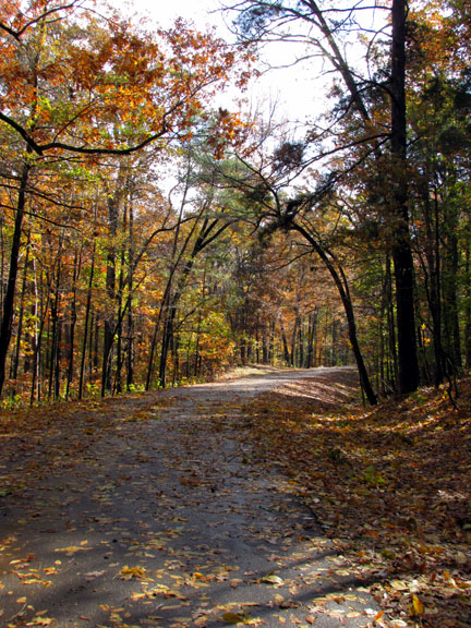 Jeff Busby Park - Mississippi Fall Foliage