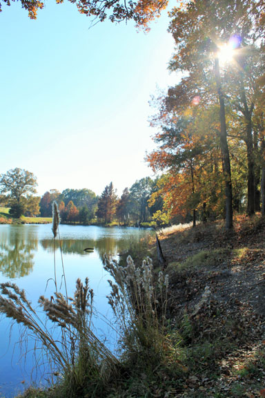 Old Town Overlook - Mississippi Fall Foliage
