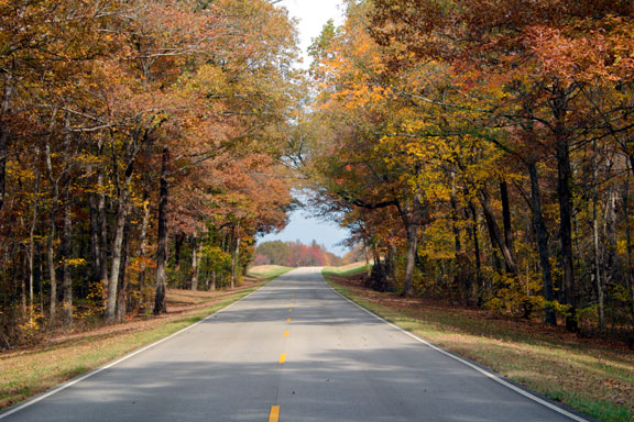Milepost 371 - Tennessee Fall Foliage