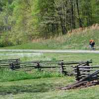Tennessee - Cyclist passing by Burns Branch.