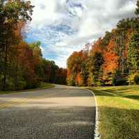 Natchez Trace Parkway: Nashville - Franklin | Fall foliage near milepost 431.