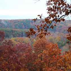 Overlook in the fall.