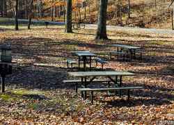 Picnic area at Meriwether Lewis Death and Burial Site.
