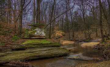 Glenrock Branch in the Winter - Natchez Trace Parkway