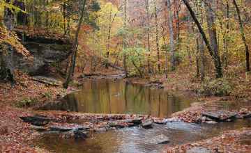 Glenrock Branch Creek in the fall.
