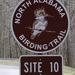 North Alabama Birding Trail