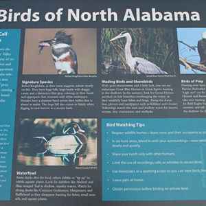 Colbert Ferry area is one of the stops on the Northern Alabama Birding Trail.