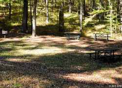 Picnic Area at Rocky Springs