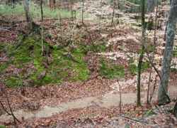 Looking down into the 15-20 foot deep Sunken Trace.