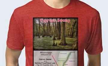 Cypress Swamp T-Shirts