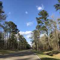 Parkway thru the Tombigbee National Forest.