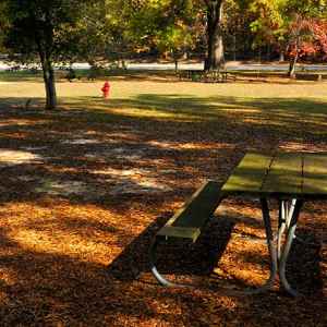 Picnic area next to the Parkway Visitor Center - Natchez Trace Parkway