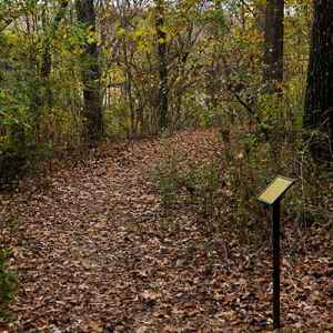 Chickasaw Village Nature Trail