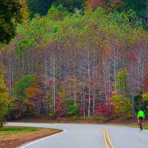 Cyclist enjoying fall foliage on the Natchez Trace at milepost 431.