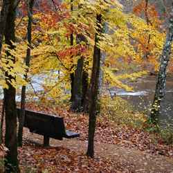 Enjoy fall foliage at Metal Ford from this bench.