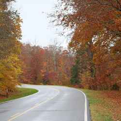 Fall foliage at milepost 363 near Collinwood, TN.