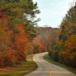 northeast Mississippi: Fall foliage at milepost 280.