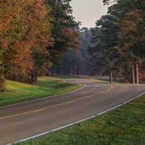 Canton - Ridgeland - Jackson area: Fall foliage on the parkway looking north at milepost 113.