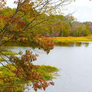 Canton - Ridgeland - Jackson area: Fall foliage at River Bend.