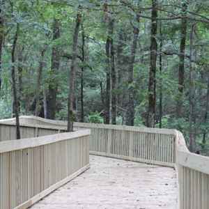 Boardwalk trail connecting the craft center with the Brashear's Stand site on the Natchez Trace Parkway.
