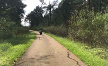 Ridgeland Multi-Use Path and Natchez Trace Multi-Use Trail 