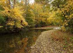 Tennessee - Garrison Creek