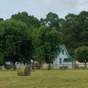 Jackson's Sweet Tea Cottage - Boston / Leiper's Fork, Tennessee Vacation Rental