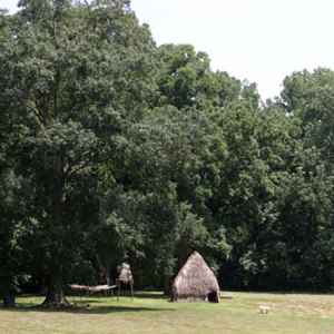 Grand Village of the Natchez Indians - Natchez, Mississippi 