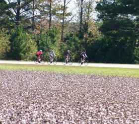 Cycling past cotton fields on the Natchez Trace Parkway.