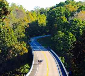 Cycling over one of the Natchez Trace bridges.