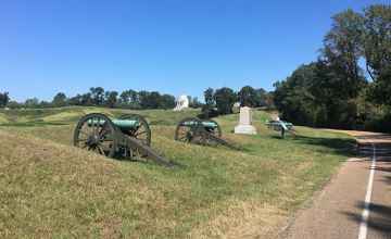 Just a few of the cannons.- Vicksburg National Military Park