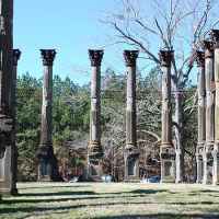 Windsor Ruins - Port Gibson / Alcorn, Mississippi