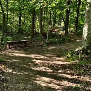 Timberland Park Hiking Trails - Franklin, TN / Williamson County