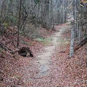 Grindstone Ford Hiking Trail